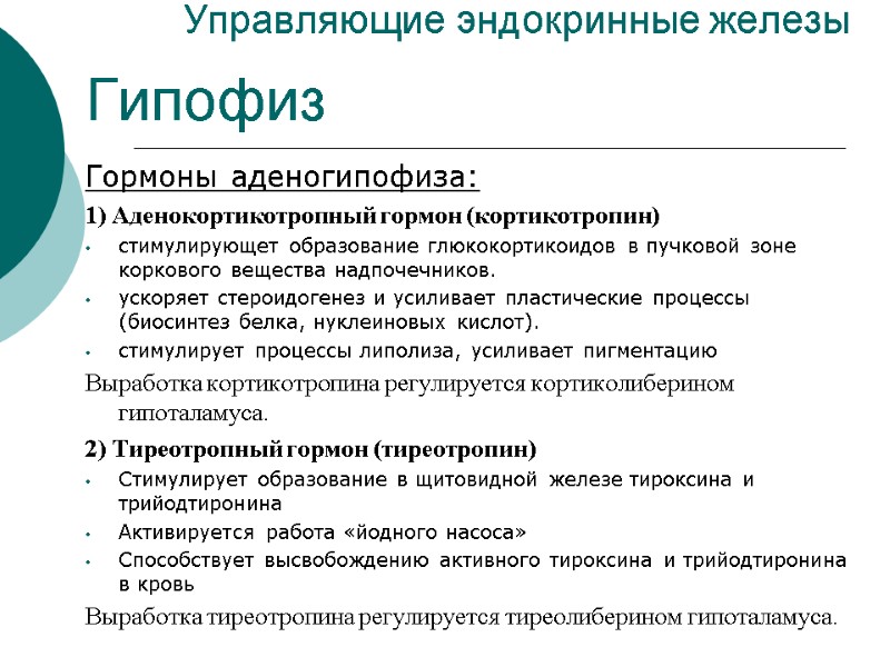 Управляющие эндокринные железы Гипофиз Гормоны аденогипофиза: 1) Аденокортикотропный гормон (кортикотропин) стимулирующет образование глюкокортикоидов в